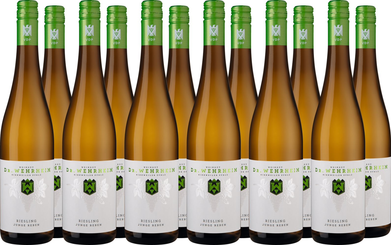 Großes Riesling Junge Reben-Paket BIO