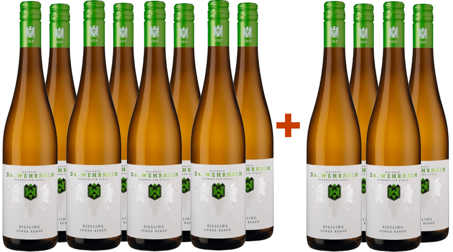 8+4 Paket Riesling Junge Reben VDP.Gutswein trocken Bio - Weingut Dr. Wehrheim BIO