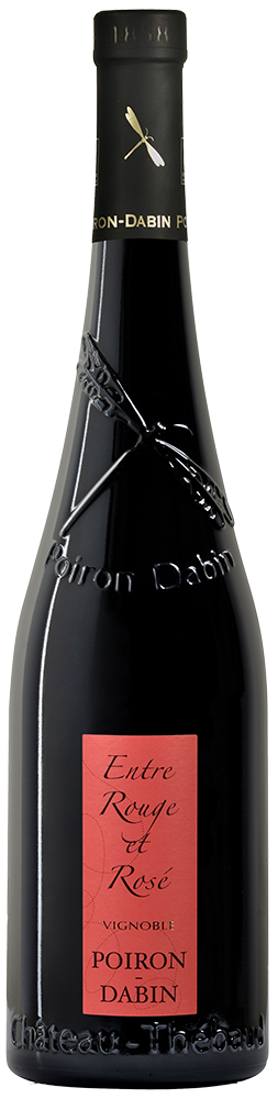 2024 Cuvée "Entre rouge et rosé" Val de Loire IGP
