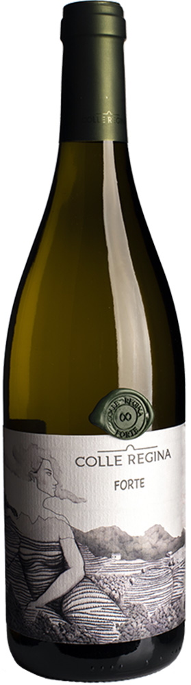 2019 Colle Regina Forte