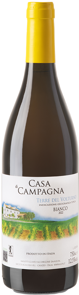 2022 Casa di Campagna Terre del Volturno IGP Bianco