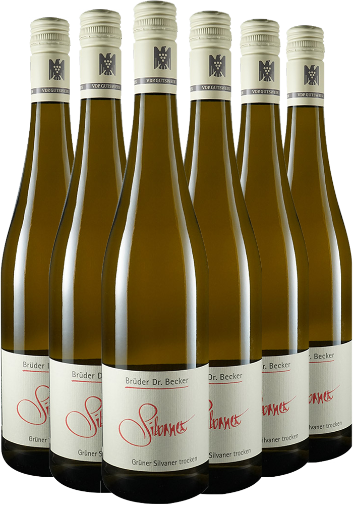 6er Spargel-Paket Grüner Silvaner BIO