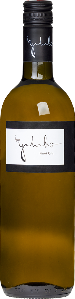 2025 Pinot Gris