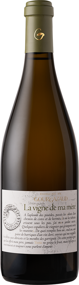 2024 La vigne de ma mère