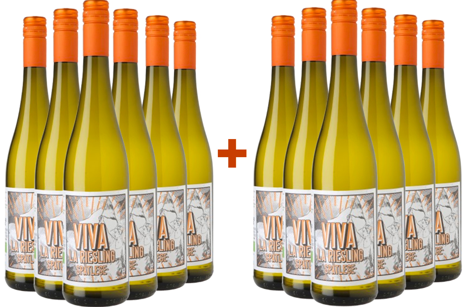 6+6 Paket Viva la Riesling Spätlese BIO BIO