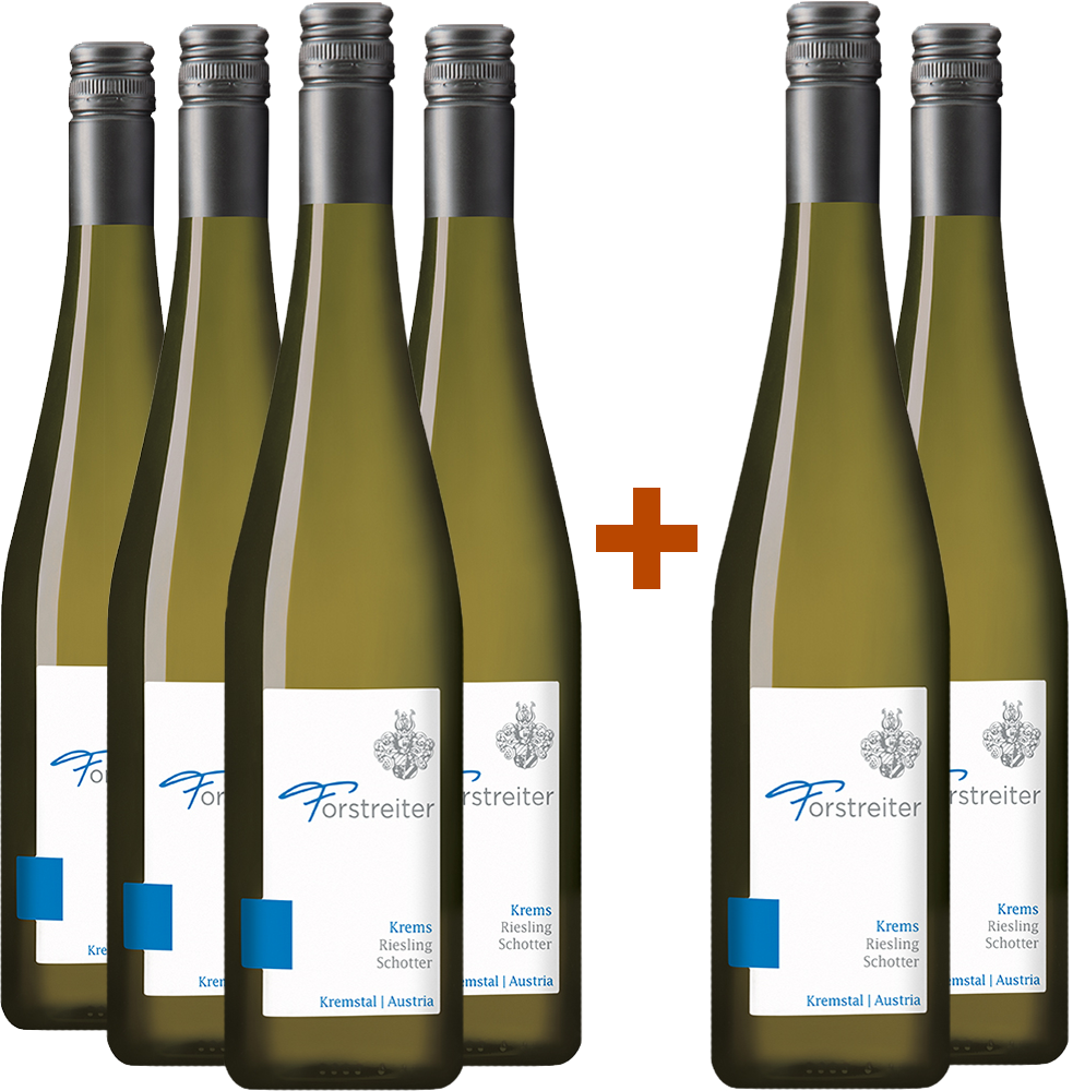 4+2 Paket Riesling Schotter Kremstal DAC