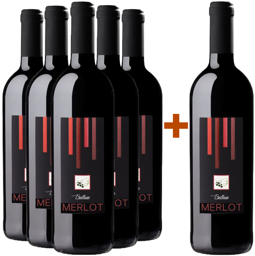 5+1 Paket Merlot Marca Trevigiana IGP