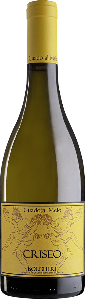 2023 Criseo Cuvée Bolgheri DOC