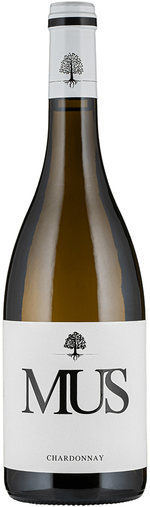 2024 Chardonay Pays d'Oc IGP