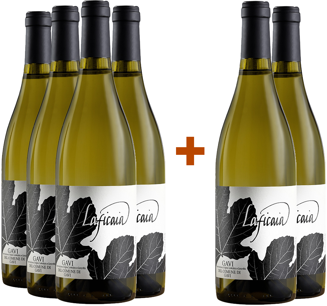 4+2 Paket Gavi del comune di Gavi DOCG