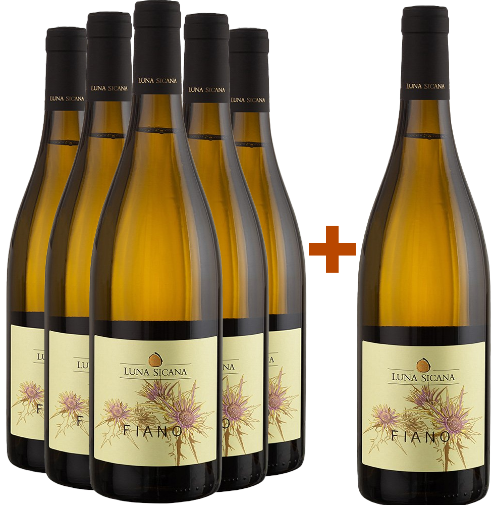 5+1 Paket Fiano Sicilia DOC BIO BIO