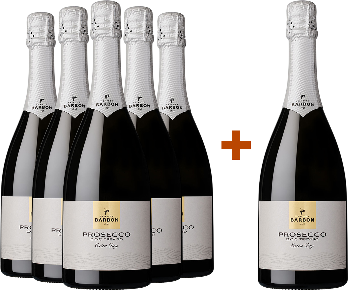 5+1 Paket Prosecco DOC Treviso ExtraDry