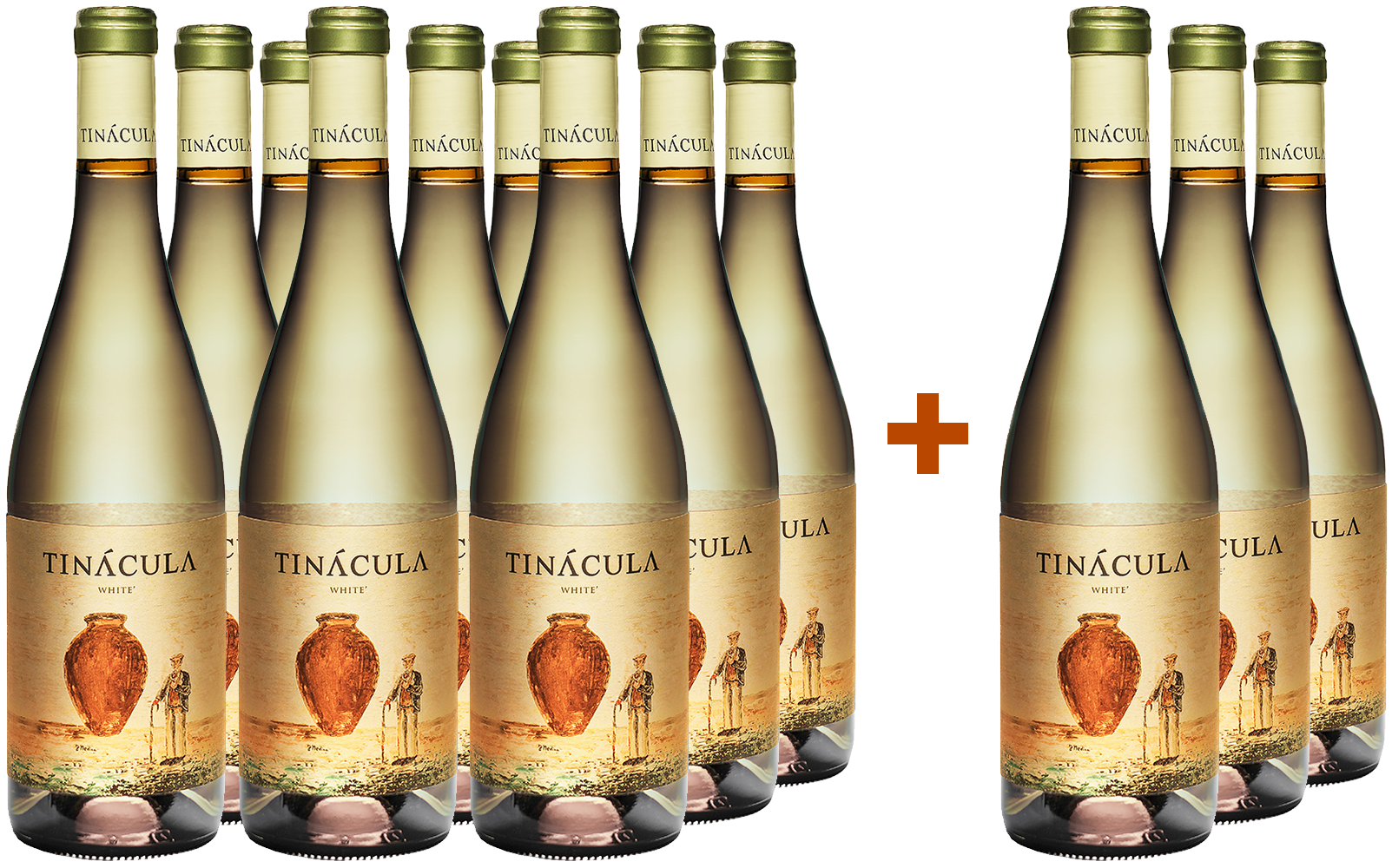 9+3 Tinácula White Aktionspaket (limitiert) Ribera del Júcar DO BIO