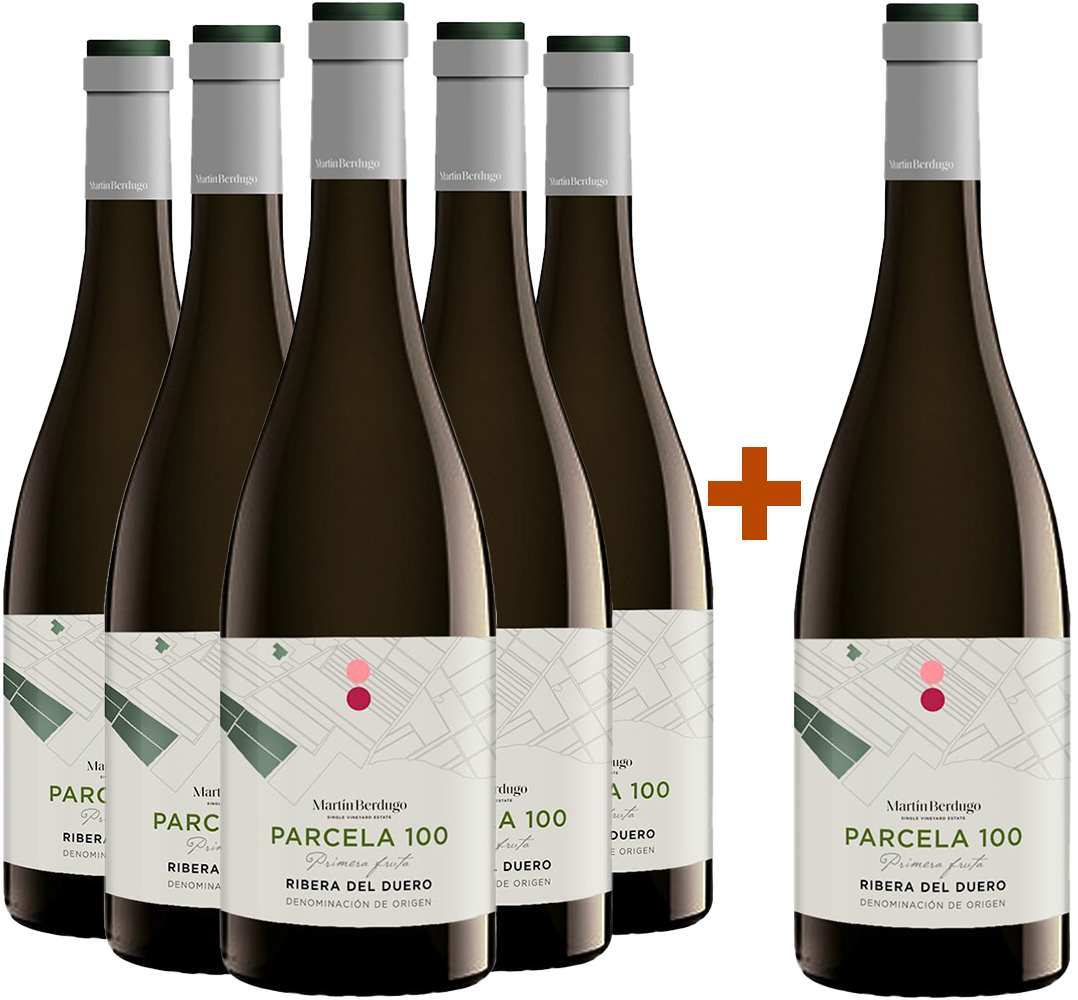 5+1 Paket Top-Lage: Parcela 100 "Primera Fruta" Ribera del Duero DO BIO