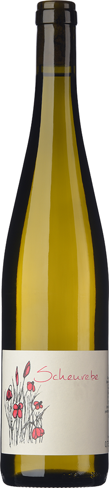 2024 Scheurebe BIO