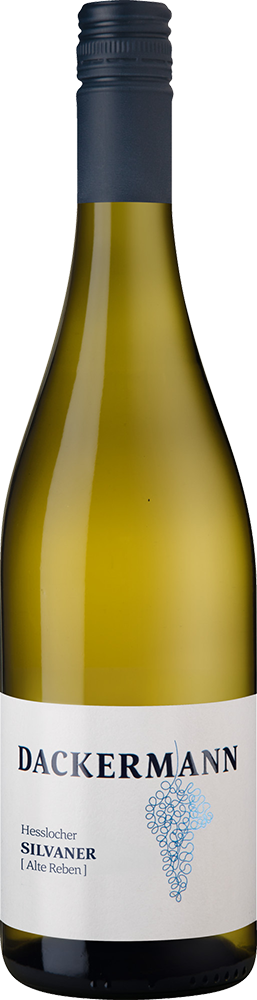 2025 HESSLOCHER SILVANER [Alte Reben] ORTSWEIN