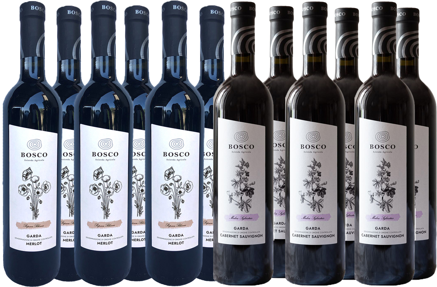 Gardasee Kennenlern-Paket