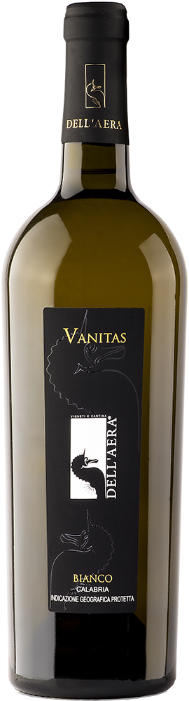 2024 Vanitas Calabria IGP