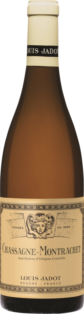 2024 Chassagne Montrachet