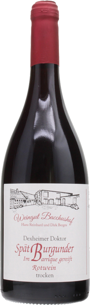 2019 Spätburgunder Barrique