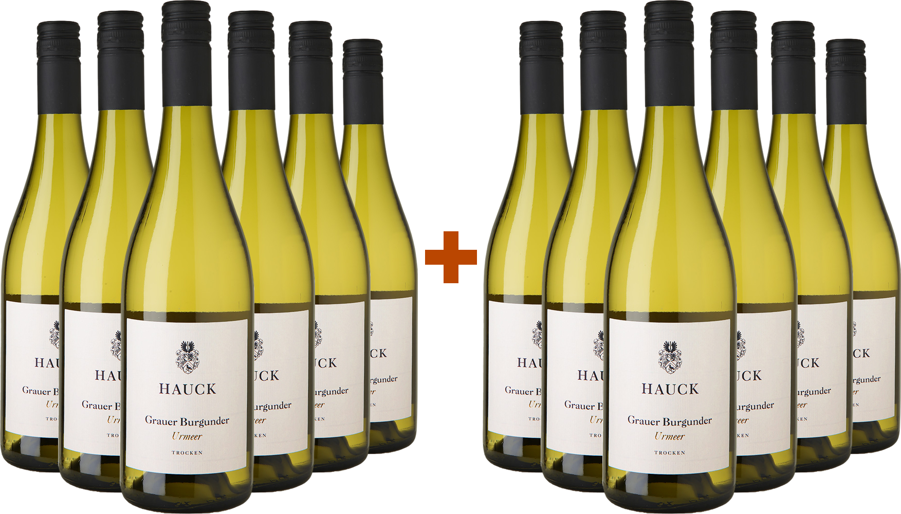 6+6 Paket Urmeer Grauburgunder