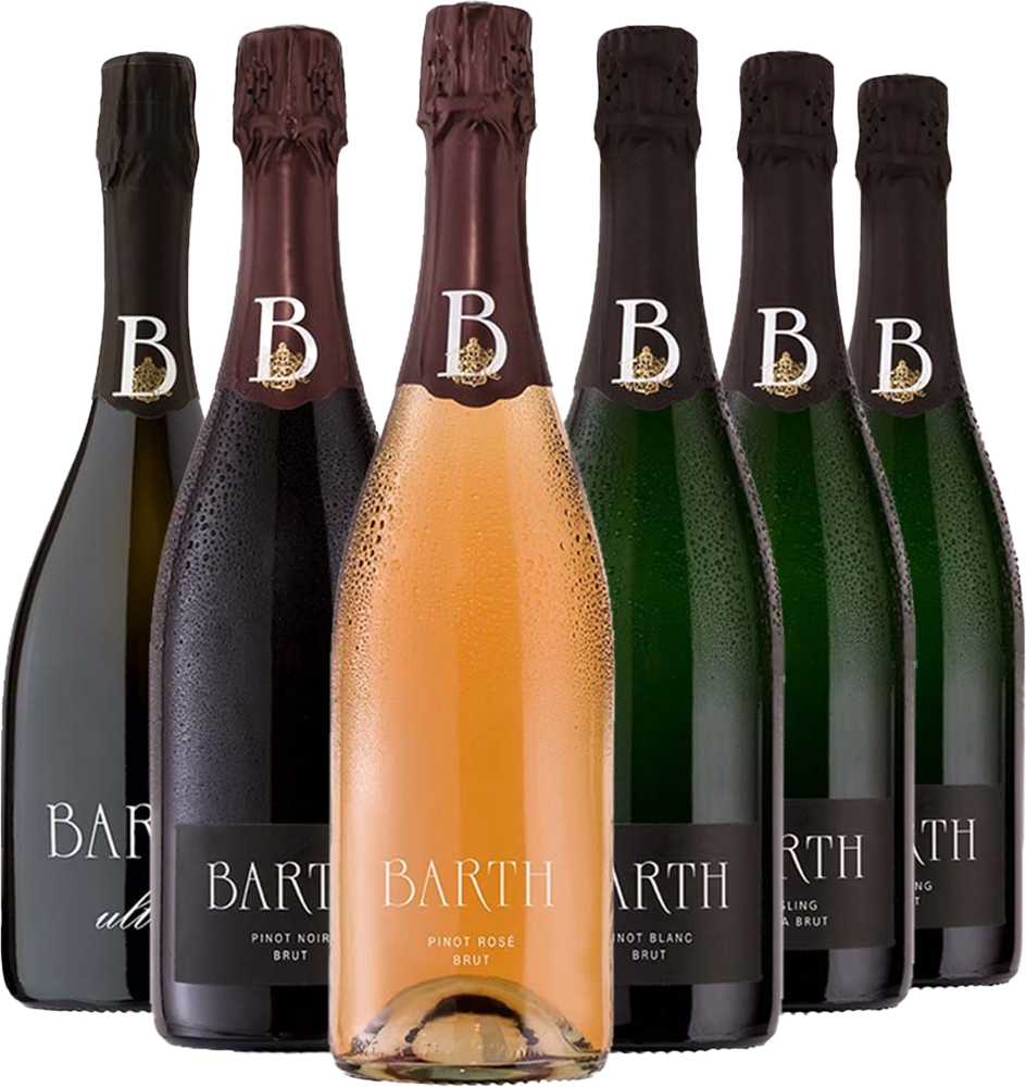 Großes VDP Sekt-Probierpaket BIO BIO