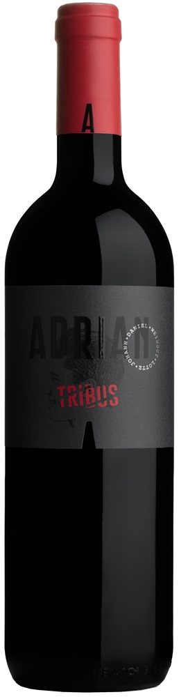 2023 Tribus