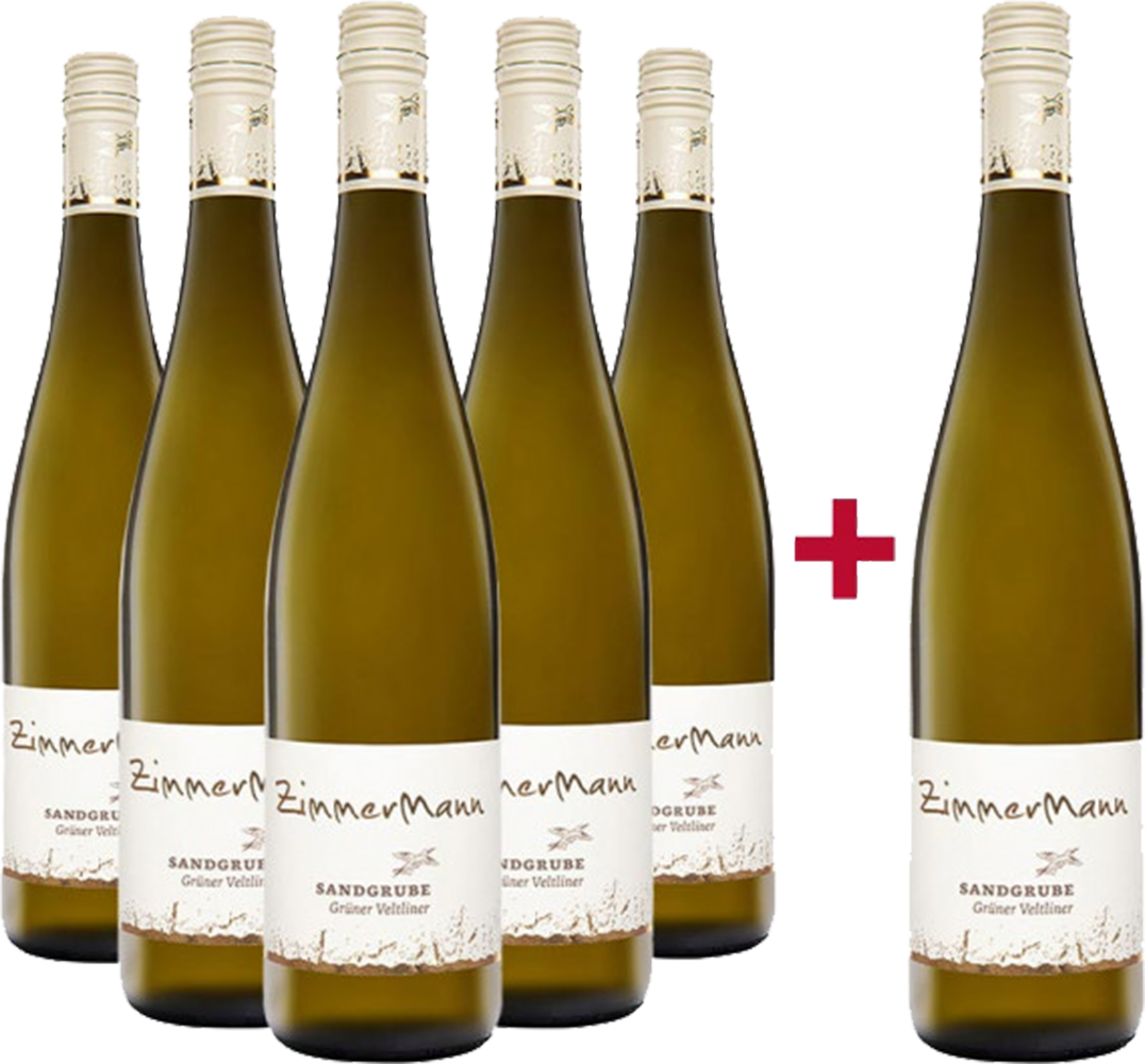 5+1 Paket Ried Sandgrube Grüner Veltliner Kremstal DAC