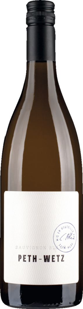 2025 Peth-Wetz Sauvignon Blanc BIO