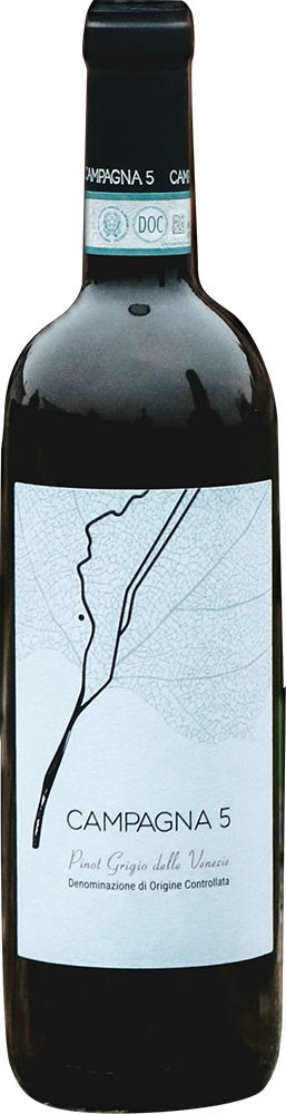 2021 Pinot Grigio Veneto IGP