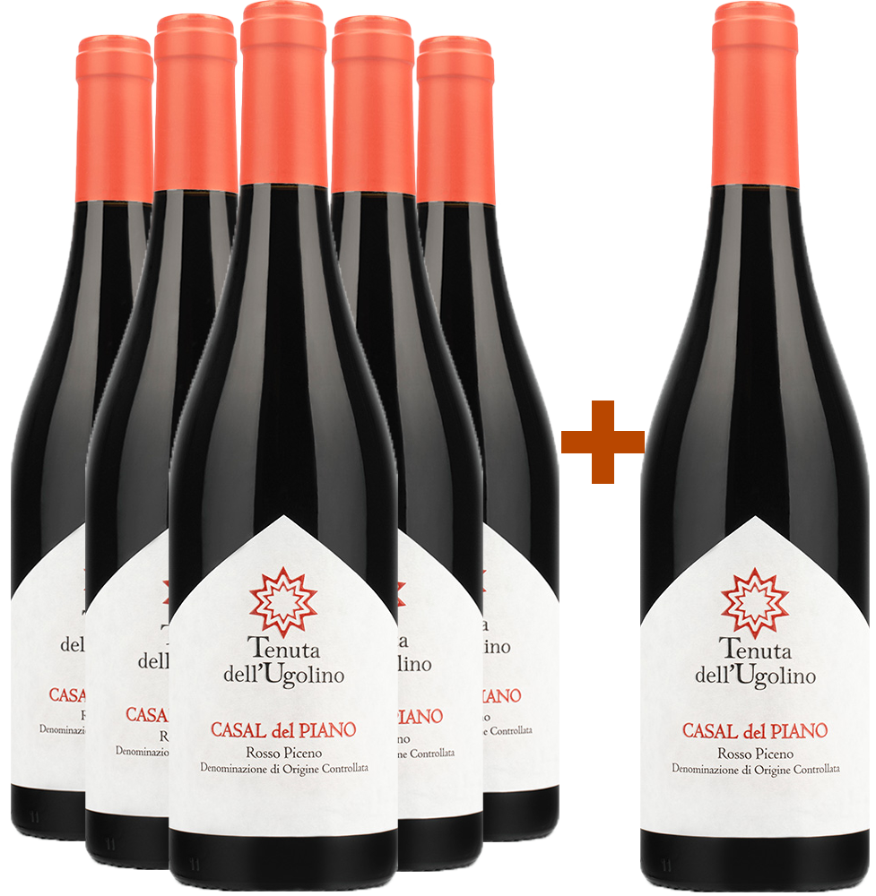 5+1 Paket Casal del Piano Rosso Piceno DOC