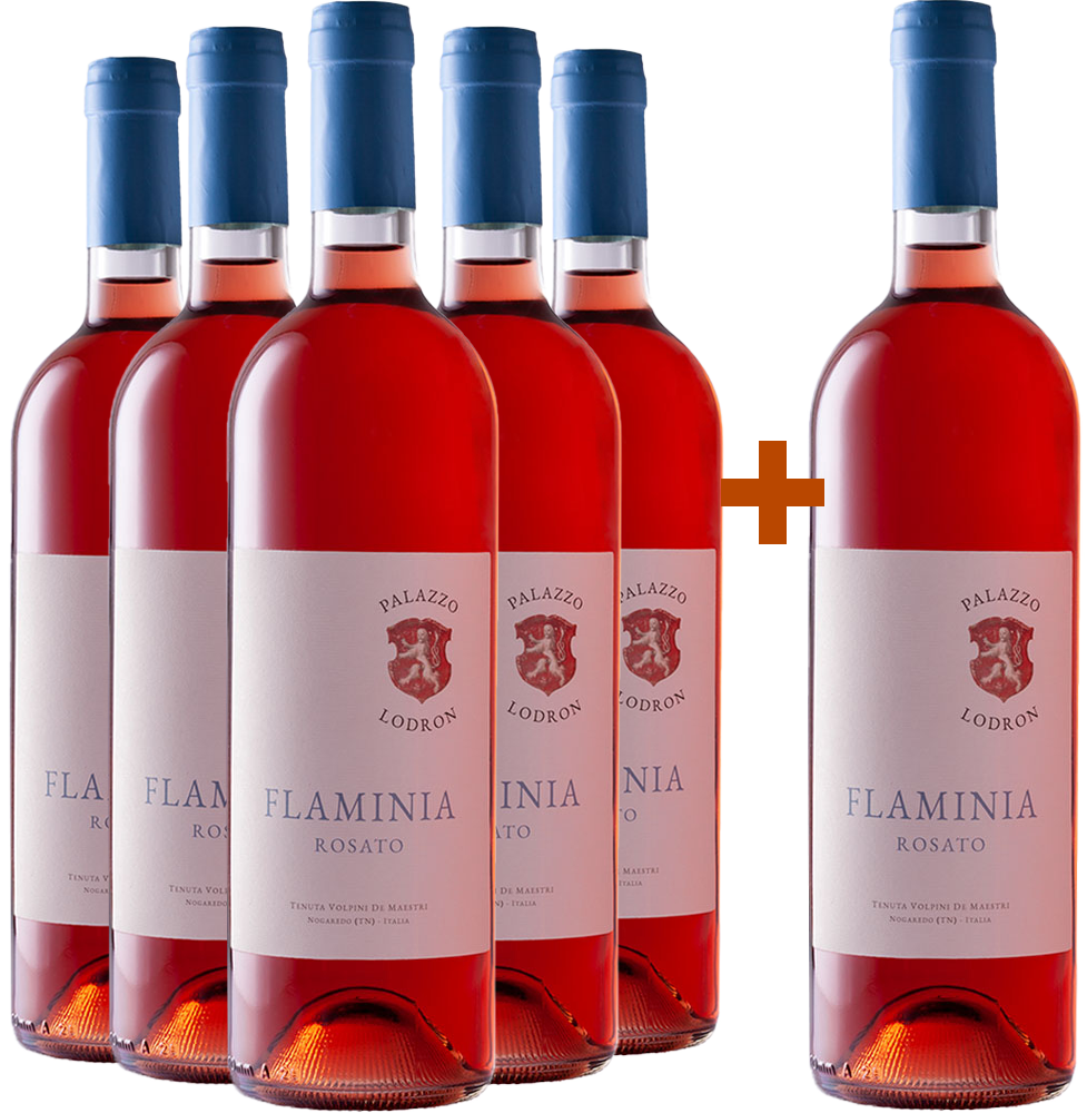 5+1 Paket Flaminia Rosato Vigneti delle Dolomiti IGP