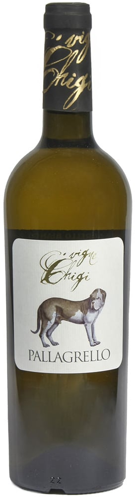 2023 Pallagrello Bianco IGP