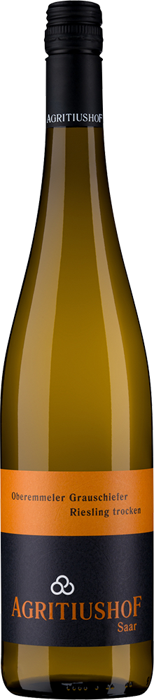 2023 Oberemmeler Grauschiefer Riesling