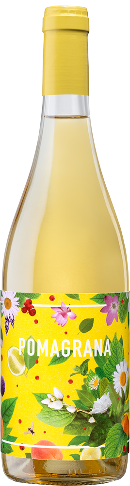 2024 Pomagrana Blanco
