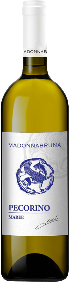 2025 Maree Falerio Pecorino DOC