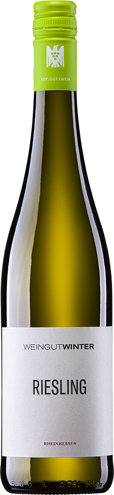 2024 RIESLING | VDP.Gutswein