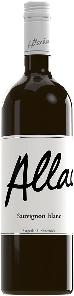 2025 Sauvignon Blanc