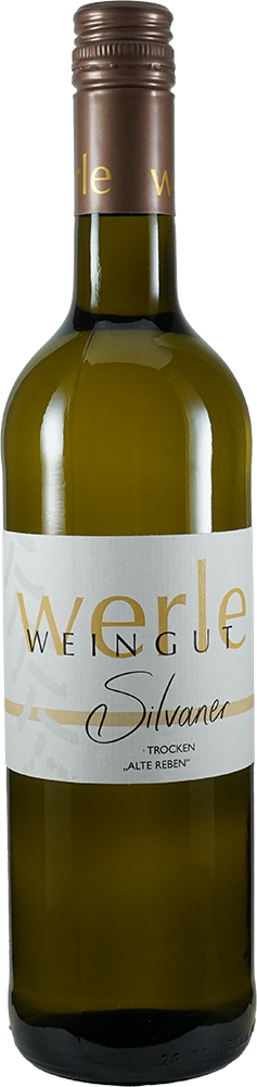 2025 Silvaner "Alte Reben"