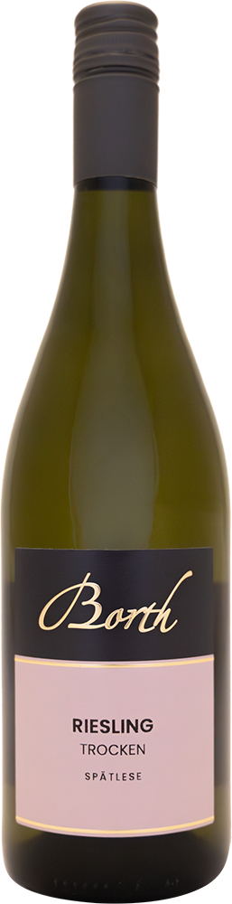 2024 Riesling Spätlese