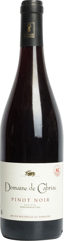 2022 Pinot Noir Pays d'Oc IGP