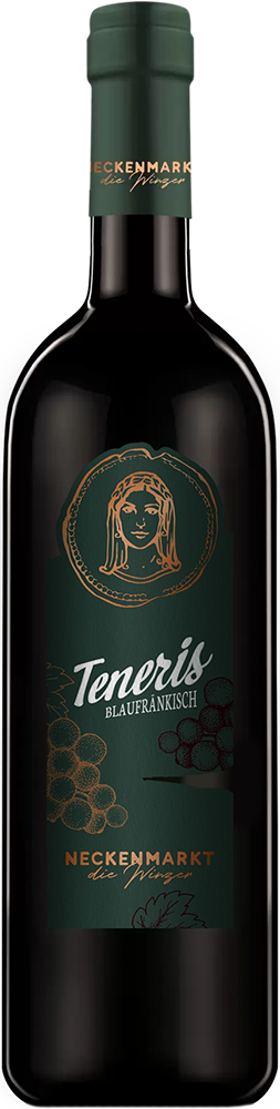 2023 TENERIS