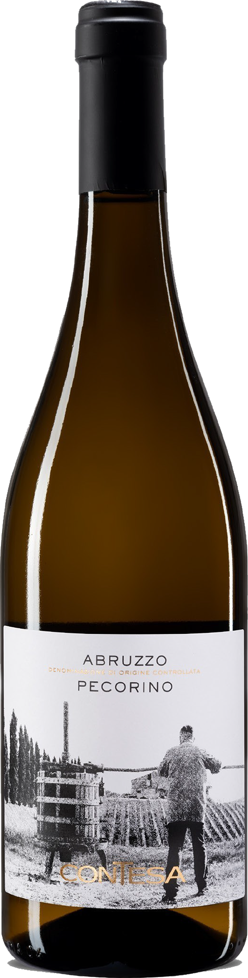 2025 Pecorino Abruzzo DOC BIO