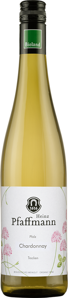 2025 Chardonnay BIO