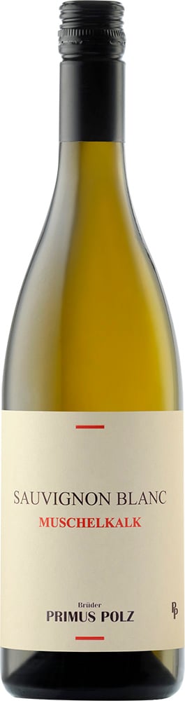 2025 Sauvignon Blanc Muschelkalk - Slowenien
