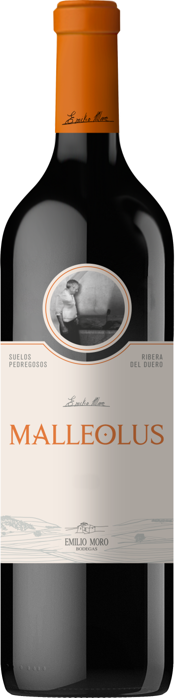 2022 Malleolus Ribera del Duero DO
