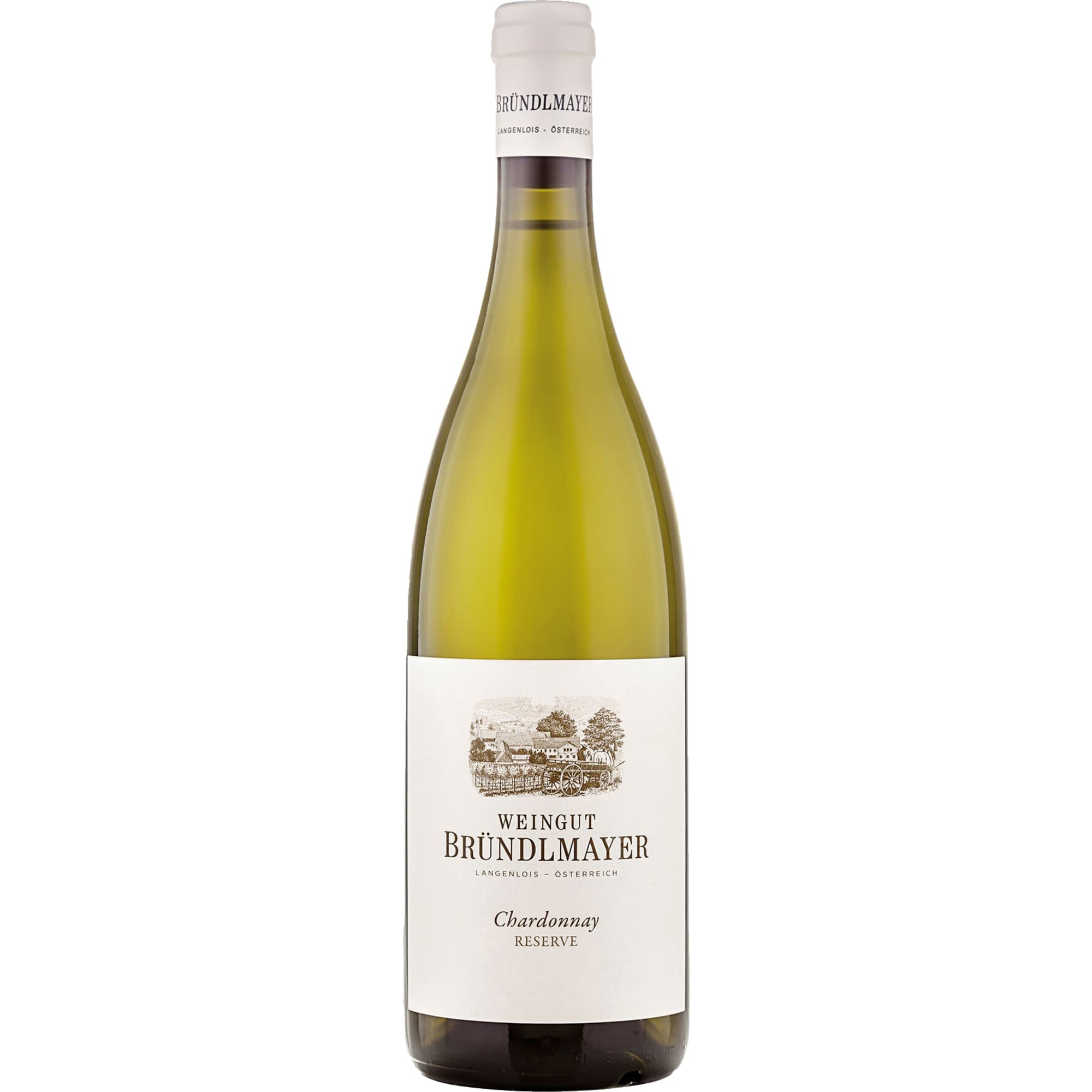 2023 Ried Steinberg Chardonnay Reserve BIO