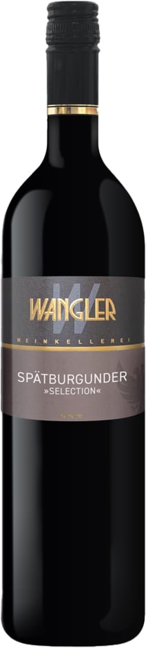 2022 Beilsteiner Wartberg Spätburgunder - S
