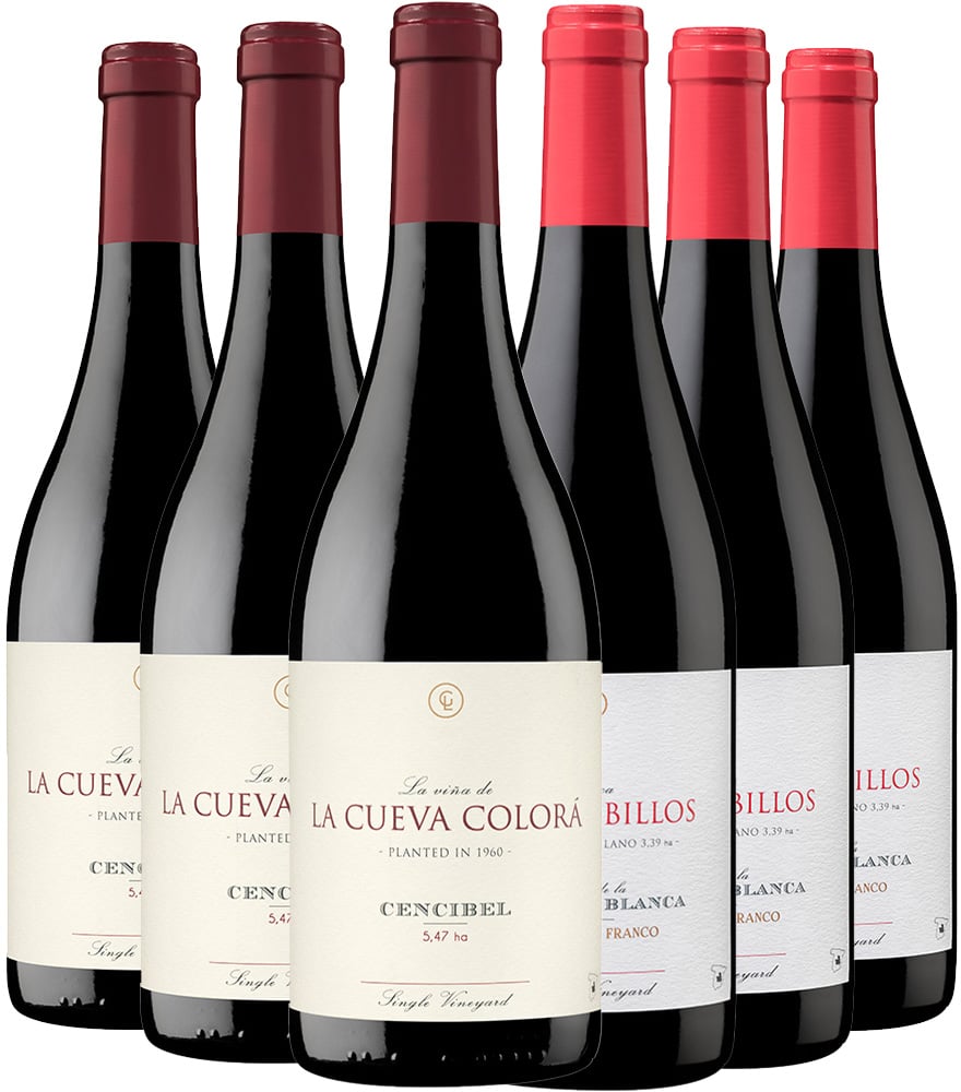 Bodega García de Lara Probierpaket Rotwein Castilla VT