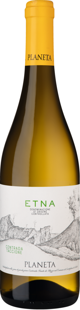 2023 Etna Bianco BIO